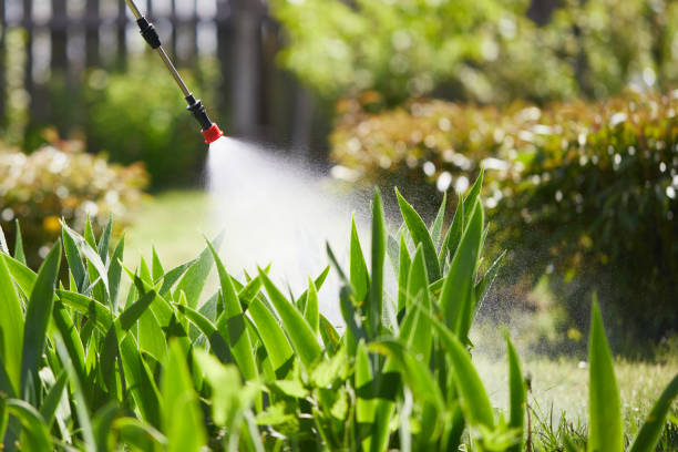 24/7 Emergency Ant Control experts in Saraland, AL