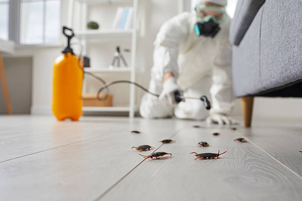 Trusted Fumigation Services service in Saraland, AL - Nex Pest Control
