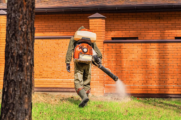 Trusted Cockroach Control service in Saraland, AL - Nex Pest Control